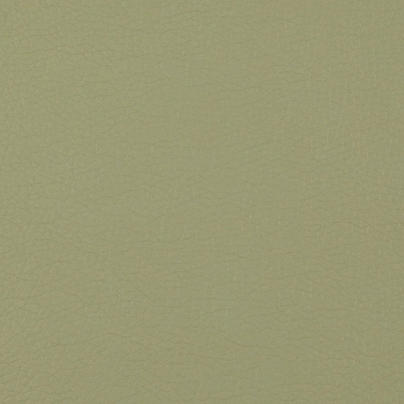 Causeuse en Faux Cuir, 2 Places, Style Moderne — Sauge / Stratus / Bleu / Chamois / Neige / Noir / Java / Rouge à Lèvres