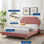 Lit Queen plateforme en velours Gris clair / Rose / Bleu marine / Menthe / Rose poudré / Blanc / Bleu sarcelle / Anthracite – 1 personne